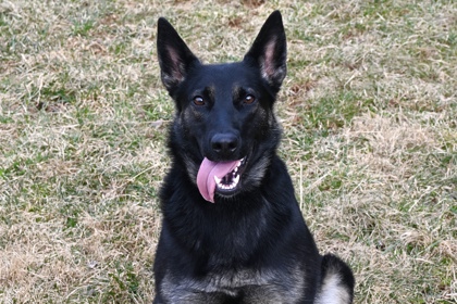 Mona Lisa Vito (Sophie)