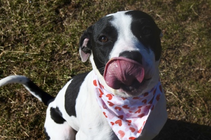 Esteban Julio Ricardo Montoya De La Rosa (Spot)2