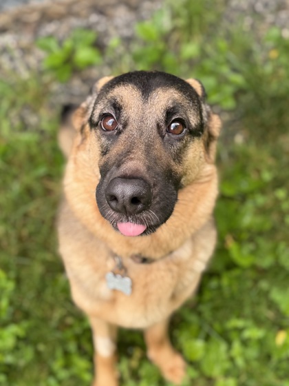 Riley3