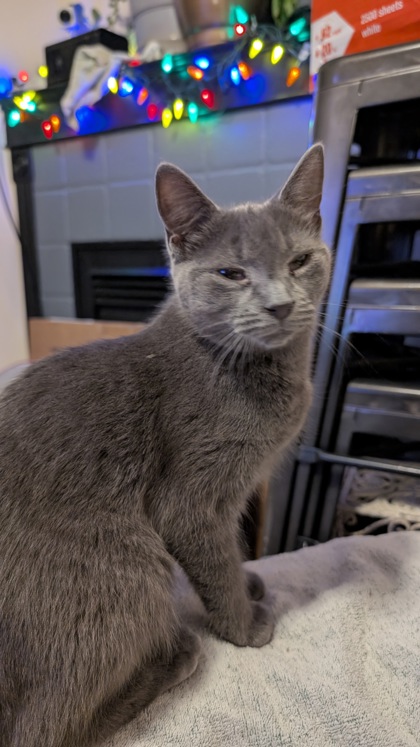 Mia