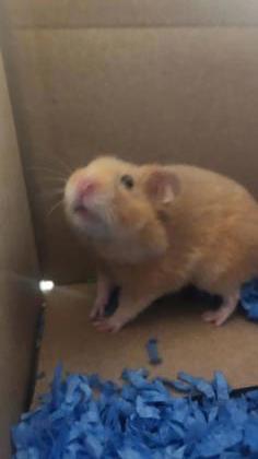 George