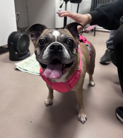 Rosie