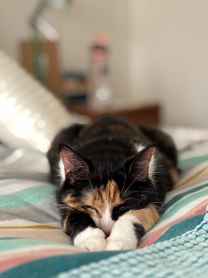 Matilda