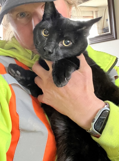 Salem