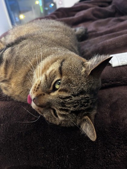 Mumsie