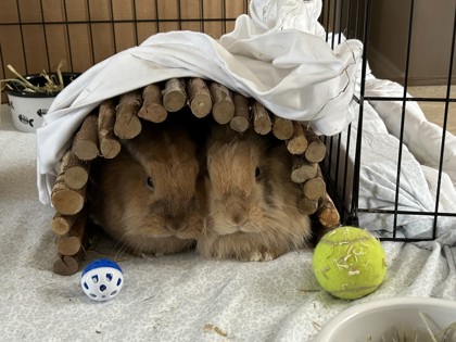 Fluffy
