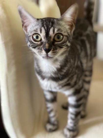 Prudence
