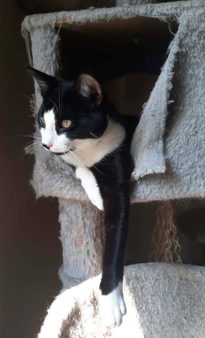 Tux