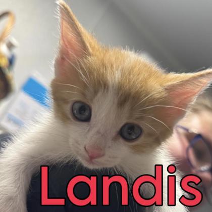 Landis
