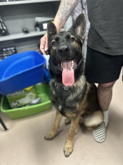 Samson