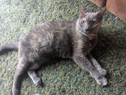Coco Chanel