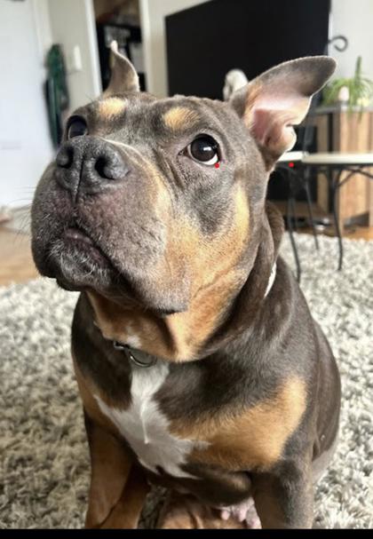 Asia