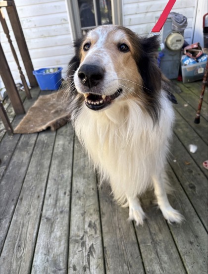 Finnigan