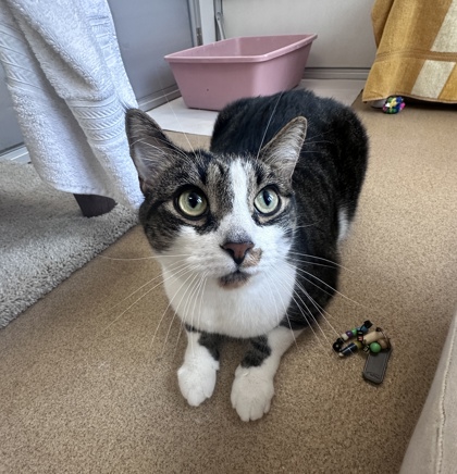 Max