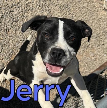 Jerry