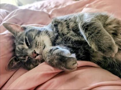 Juno