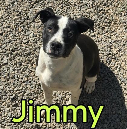 Jimmy
