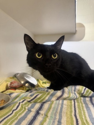 BINX