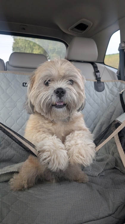 Main photo of Haystack