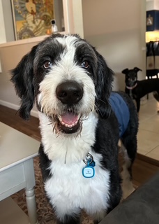 Main photo of Maxwell