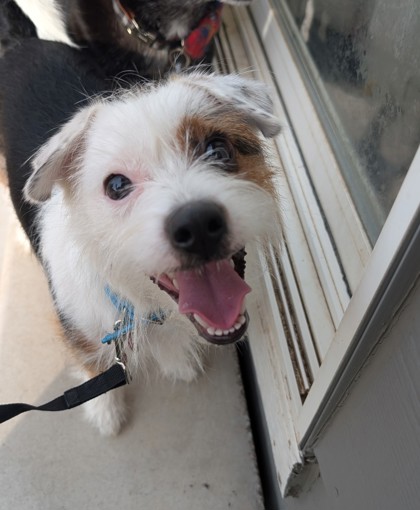 Main photo of Simone