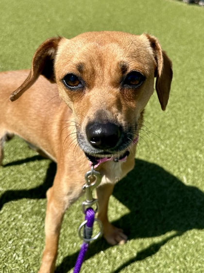 Main photo of Baxter