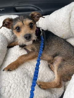 Main photo of Fred