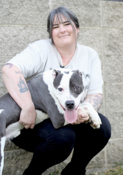Image for Ollie Ham
