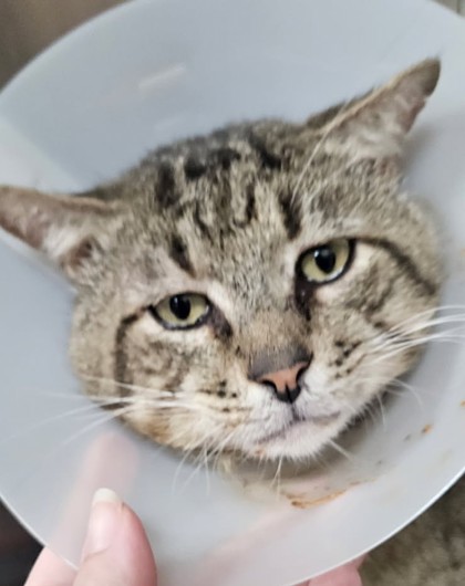 Fort Worth Animal Care and Control Shelter
