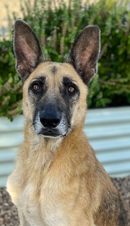 Image for Darla Jean