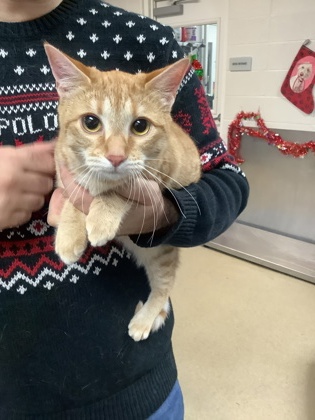 Image for Monica (7)