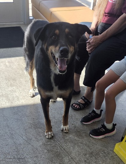 Fort Worth Animal Care and Control Shelter