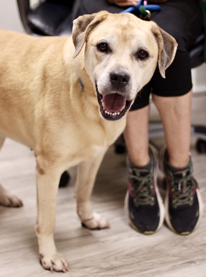 Image for Jenny From The Block