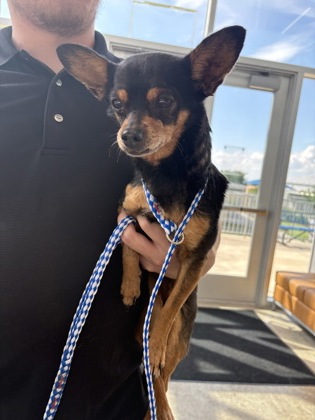 Fort Worth Animal Care and Control Shelter