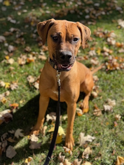 Ella