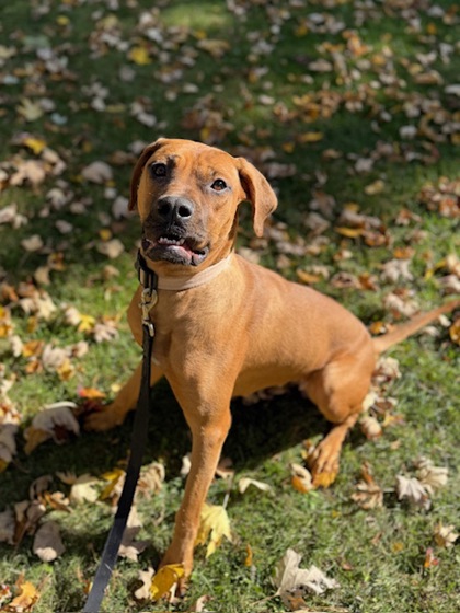 Ella