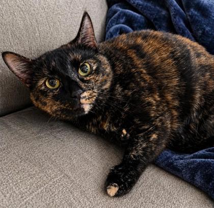 Lucy photo