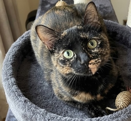 Lucy photo