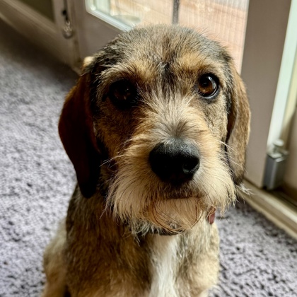 Oscar photo