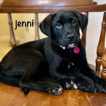 Jenni photo