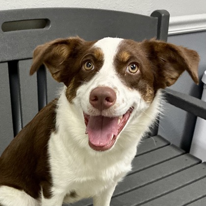 Maeve photo