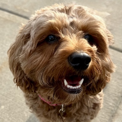 Hazel Mama photo