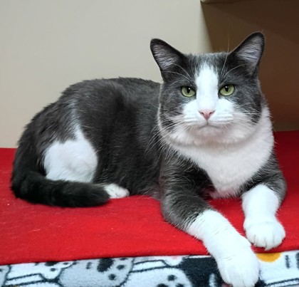 George photo