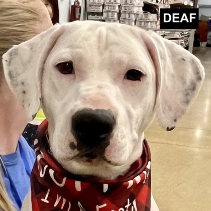 Kathleen (deaf) photo