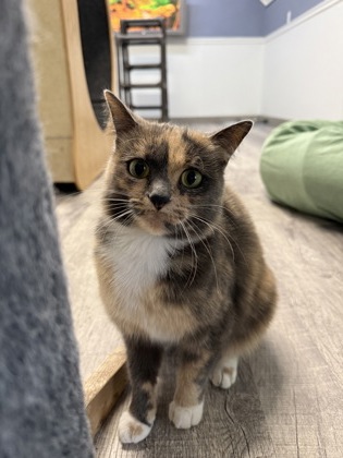 Sabrina Spellman photo