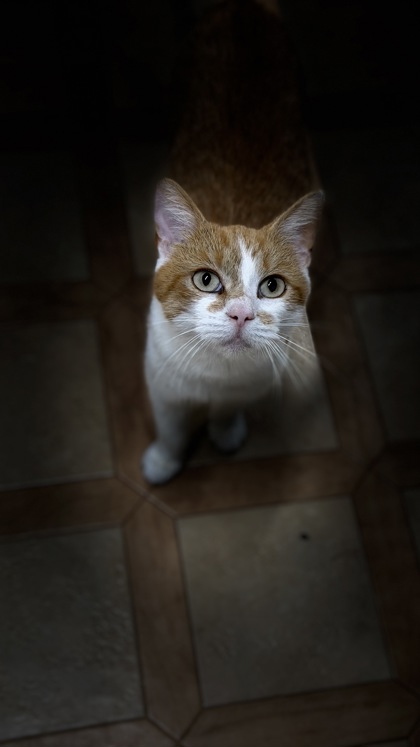 Esther photo