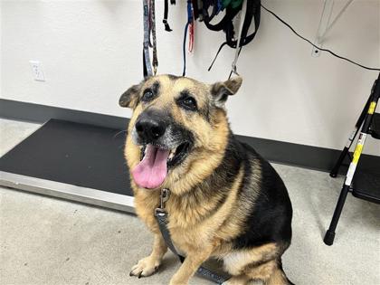 Max