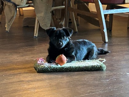 Hamlet, 2