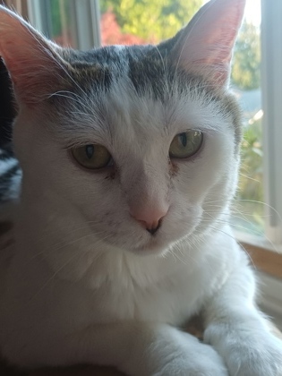 Coco, 2