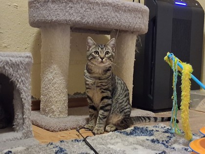 Victor
